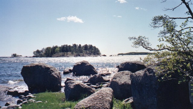 Sammalsaari