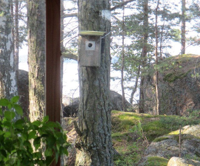 IkkunastaEteläänDet1