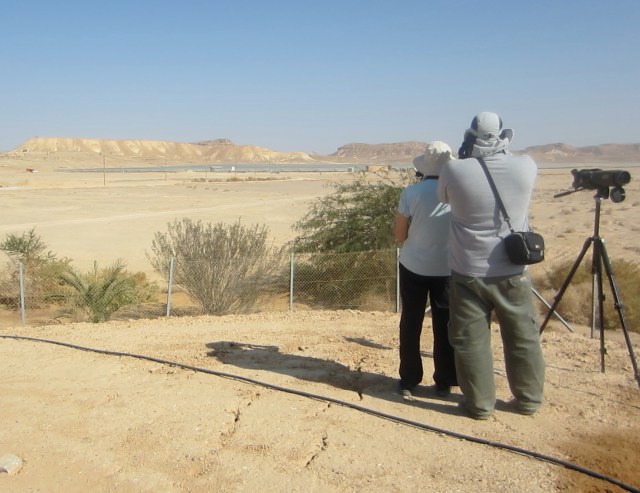 aurinkopaneelijarviB