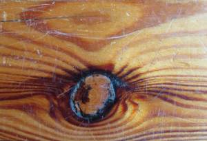 lenta%cc%88va%cc%88silma%cc%88nra%cc%88pa%cc%88ys